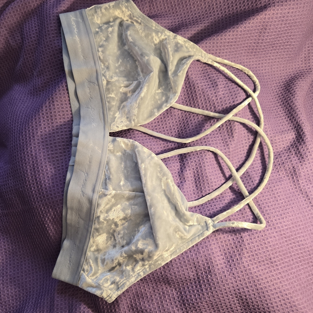 Victoria's Secret Light Blue Velvet Bralette